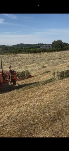 Small square Hay bales