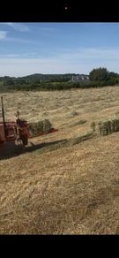 Small square Hay bales