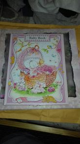 photo album and keepsakes book