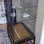 Large bird cage Image 5