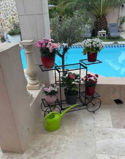 Metal Indoor or Outdoor Garden Bicycle (Free Delivery)