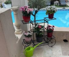 Metal Indoor or Outdoor Garden Bicycle (Free Delivery)