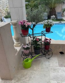 Metal Indoor or Outdoor Garden Bicycle (Free Delivery)