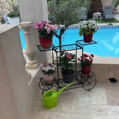 Metal Indoor or Outdoor Garden Bicycle (Free Delivery)