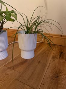 pot, plastic