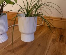 pot, plastic