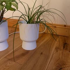 pot, plastic