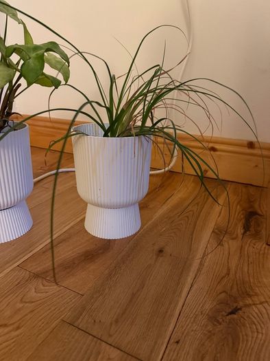 pot, plastic