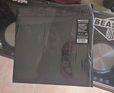 Beastie Boys Check Your Head Boxset