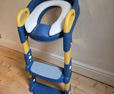 Toilet training seat