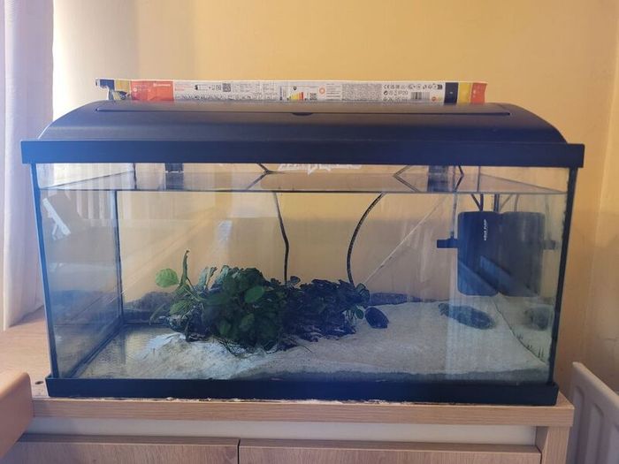 Aquarium with pump and plants