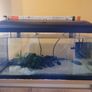 Aquarium with pump and plants Image 5