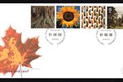 2000 Great Britain Millennium Projects 8th Series "Tree and Leaf" Commemorative Stamps Royal Mail Addressed First Day Cover (FDC)