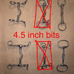 horse bits