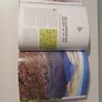 Epic Runs of the World by Lonely Planet Image 4