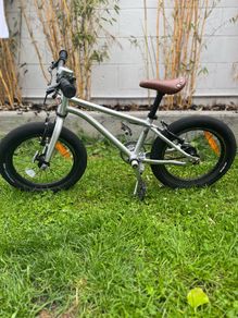 Early Rider Kids Bike 14