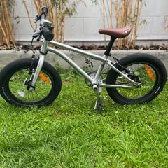 Early Rider Kids Bike 14