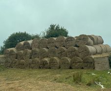 Hay bales