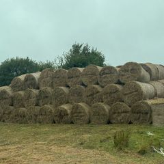 Hay bales