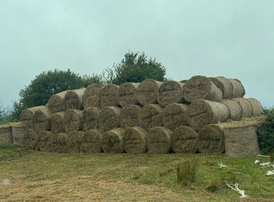 Hay bales