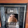 Cast Iron Fireplace Insert + Solid Timber Surround (Victorian Style) Image 6