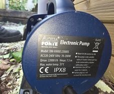 pond/sump pump