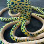 Octopus plushie Image 2