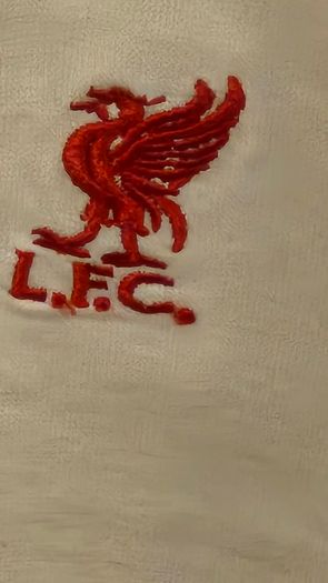 Ladies Liverpool Tshirt