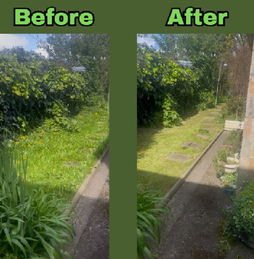Garden Maintenance And Tidy Up