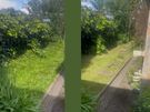 Garden Maintenance And Tidy Up Image 3