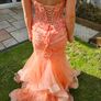 Debs Dress Image 5