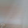 white desk Image 3