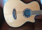 Crafter Electro Acoustic Bass As New