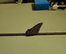Kyanite crystal specimen
