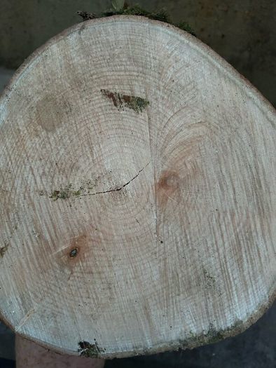 Firewood