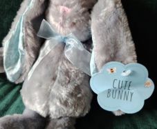 Grey Bunny