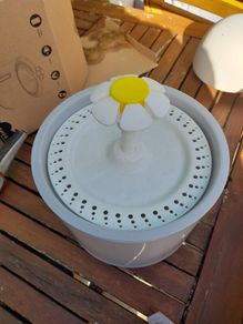 cat fountain
