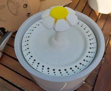 cat fountain