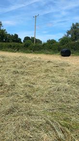 Round Baled Hay