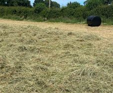 Round Baled Hay