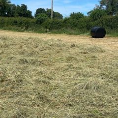 Round Baled Hay