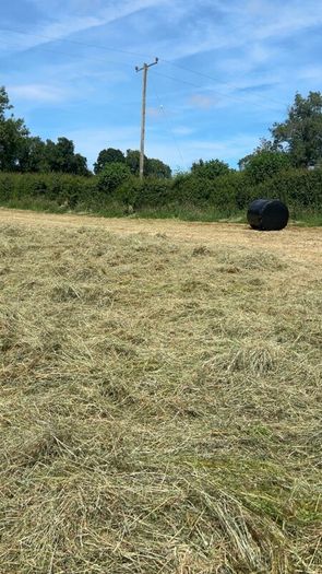 Round Baled Hay