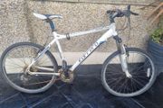 bike carrera  needs fixing