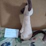 Jellycat Iris Siamese Cat BNWT Image 4