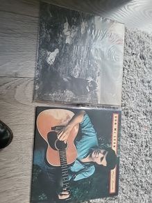 Don McLean vinyl