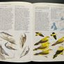 Shell Guide to the Birds of Britain and Ireland Image 3