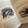 1891 The Natural History of Selborne Image 5