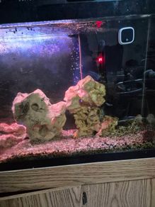 aquarium