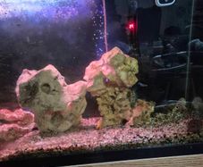aquarium