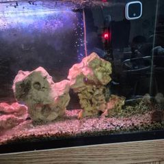 aquarium